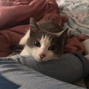 Meet your Posher, Allison